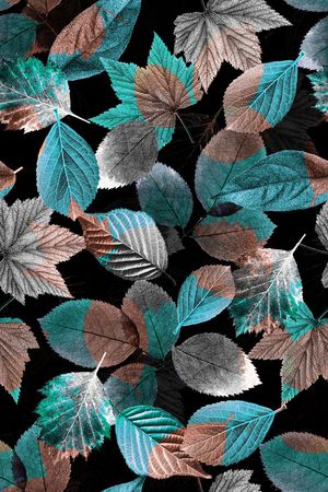 叶子印花华亿平台图片