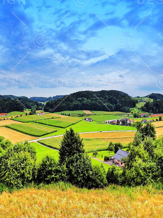 风景印花华亿平台图片