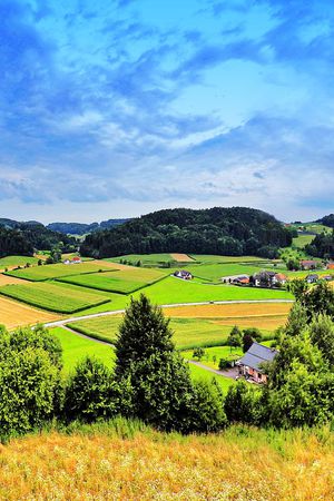 风景印花华亿平台图片