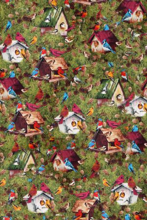 房子和小鸟印花华亿平台图片