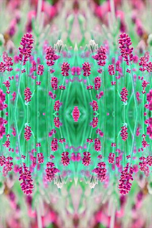 薰衣草印花华亿平台图片