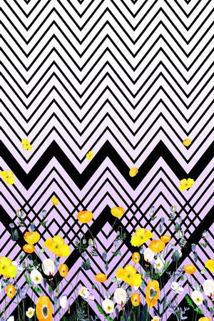 条纹印花华亿平台图片