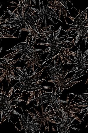 男装印花华亿平台图片