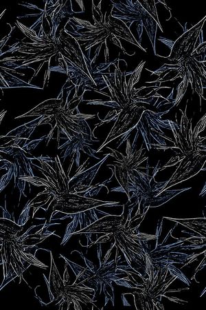 男装印花华亿平台图片