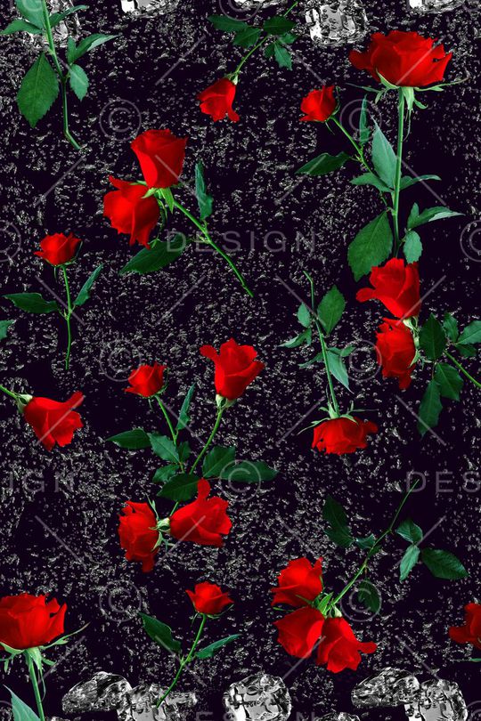 玫瑰印花华亿平台图片