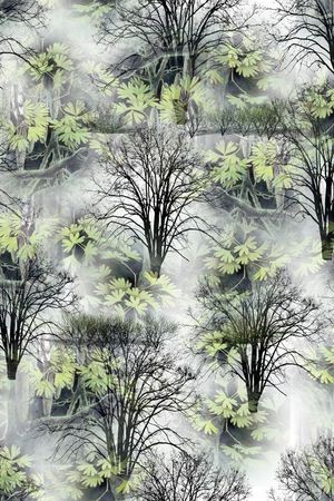 枯树印花华亿平台图片