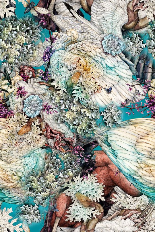 羽毛印花华亿平台图片