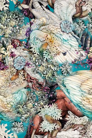 羽毛印花华亿平台图片