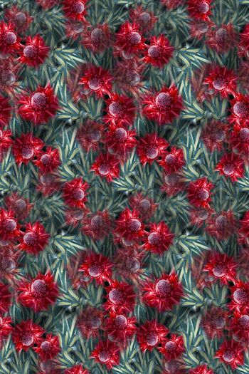 670652-10079ztkf-22940-1