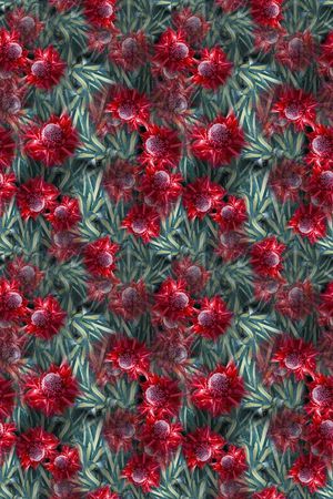 热带海滨度假印花华亿平台图片