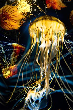 时尚数码华亿平台印花华亿平台图片