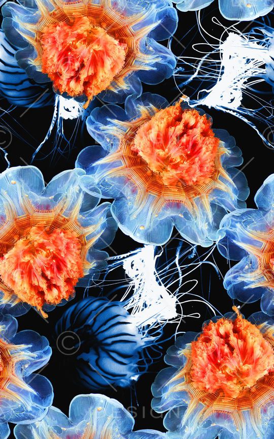 时尚数码华亿平台印花华亿平台图片