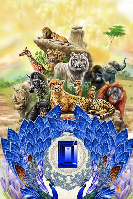 莫小妮-定位女装华亿平台印花华亿平台图片