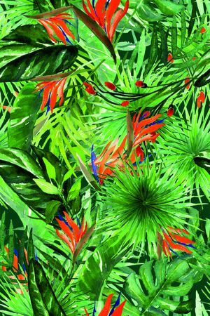 tropical印花华亿平台图片