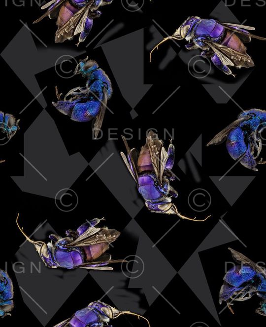 趣味印花华亿平台图片