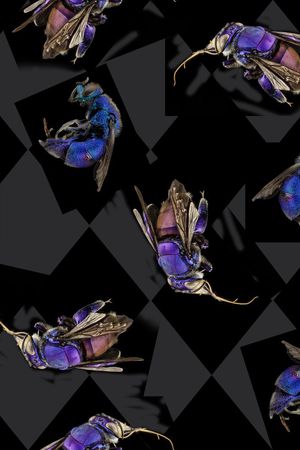 趣味印花华亿平台图片