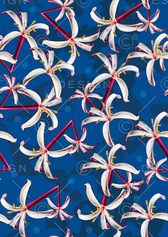 大花印花华亿平台图片