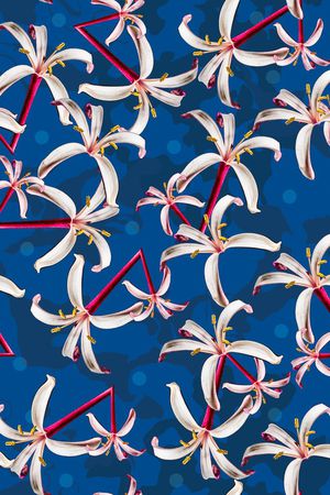 大花印花华亿平台图片