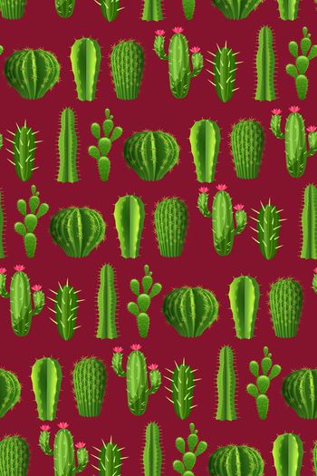 670797-热带植物 沙漠植物 仙人球仙人掌