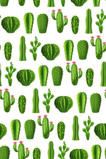 670798-热带植物 沙漠植物 仙人球仙人掌-