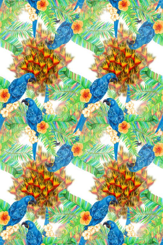 鸟昆虫图案印花华亿平台图片