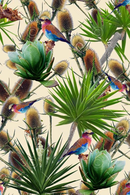 棕榈叶印花华亿平台图片