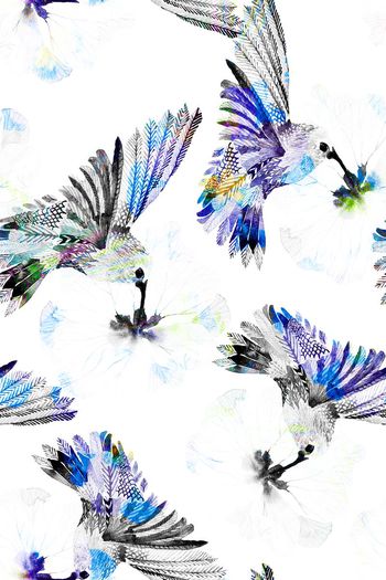 671006-1607%20XWL047b%20