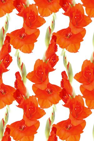 花朵印花华亿平台图片