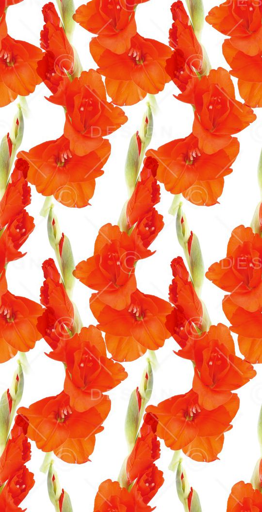 花朵印花华亿平台图片