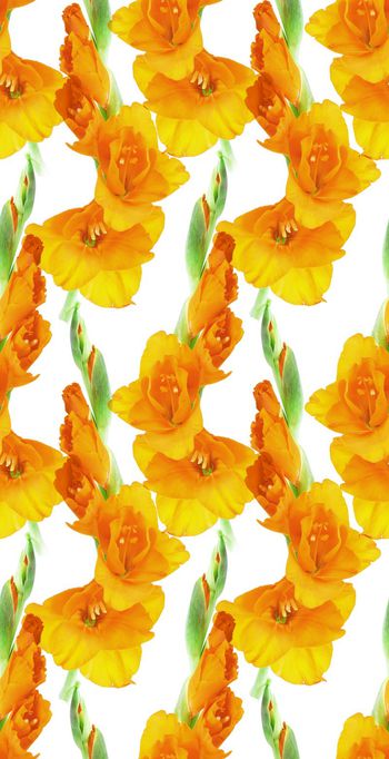 671038-时尚清爽连衣裙华亿平台-2