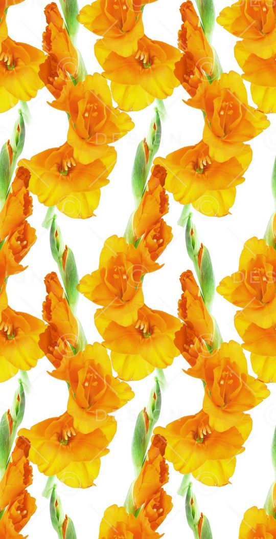 花朵印花华亿平台图片