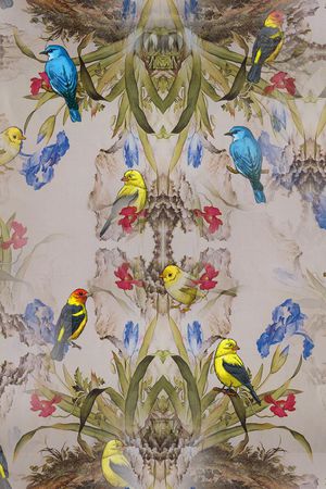 小鸟印花华亿平台图片