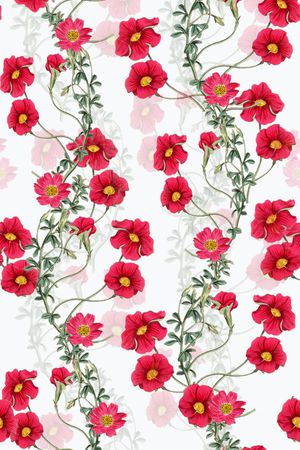 大牌印花华亿平台图片