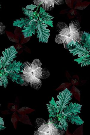 热带印花华亿平台图片