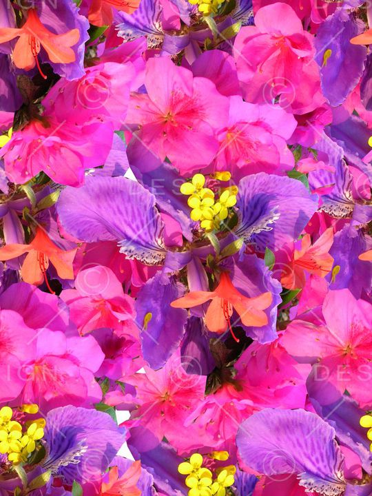 秘密3.0【植物花卉】印花华亿平台图片