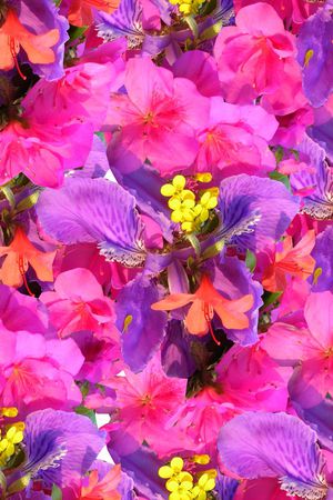 秘密3.0【植物花卉】印花华亿平台图片