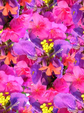 秘密3.0【植物花卉】印花华亿平台图片