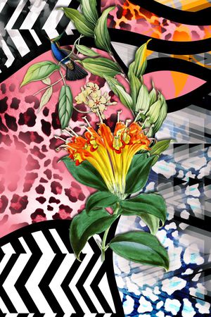 黑白条纹、豹纹、热带花、树叶、动物印花华亿平台图片