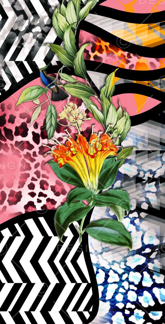 黑白条纹、豹纹、热带花、树叶、动物印花华亿平台图片