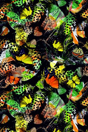 butterflies印花华亿平台图片