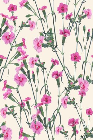 康乃馨印花华亿平台图片