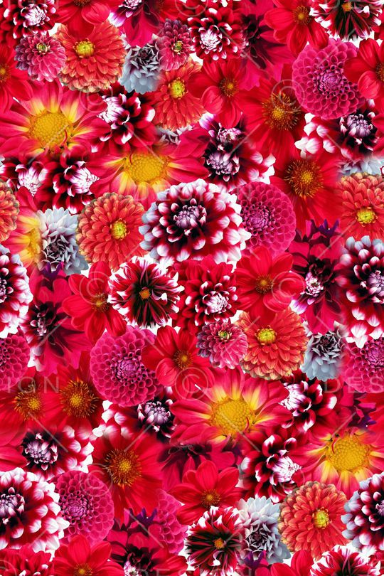 花朵印花华亿平台图片