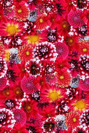 花朵印花华亿平台图片