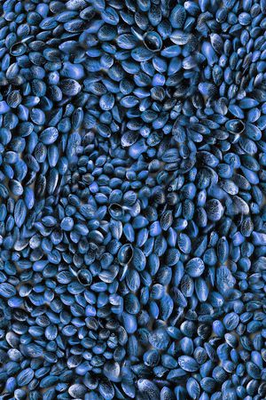 休闲印花华亿平台图片