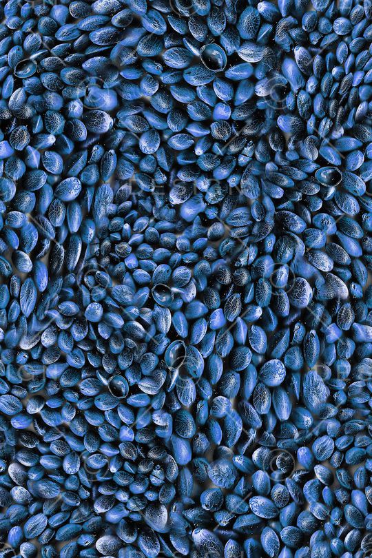 休闲印花华亿平台图片