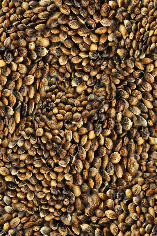 休闲印花华亿平台图片