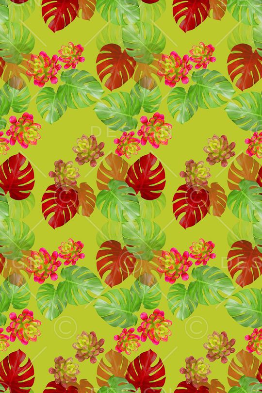 热带海滨度假印花华亿平台图片