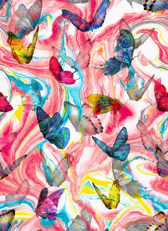 Fei-动物世界印花华亿平台图片