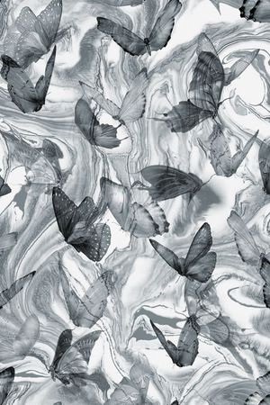 Fei-动物世界印花华亿平台图片