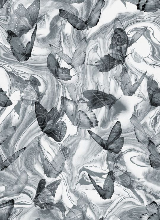 Fei-动物世界印花华亿平台图片